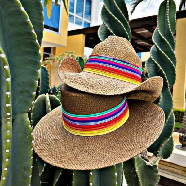 decorated hat, hats decorated in Colombia, personalized hats made from iraca palm, handmade hats with embroidery, test1234, Cordobes Hat Colour Splash Brown