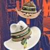 decorated hat, hats decorated in Colombia, personalized hats made from iraca palm, handmade hats with embroidery, test12345, Decorated Cowboy Hat