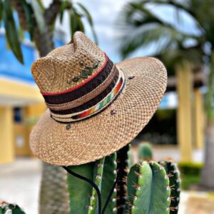 decorated hat, hats decorated in Colombia, personalized hats made from iraca palm, handmade hats with embroidery, test1234, Decorated Indiana Hat For Women