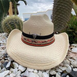 decorated hat, hats decorated in Colombia, personalized hats made from iraca palm, handmade hats with embroidery, test1234, Handmade Cowboy Hat