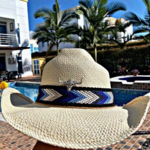 decorated hat, hats decorated in Colombia, personalized hats made from iraca palm, handmade hats with embroidery, test1234, Handmade Cowboy Hat