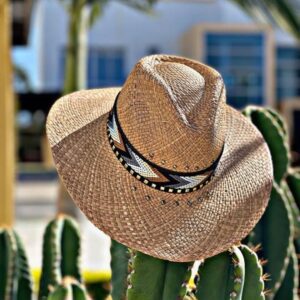 decorated hat, hats decorated in Colombia, personalized hats made from iraca palm, handmade hats with embroidery, test1234, Handmade Indiana Hat For Men