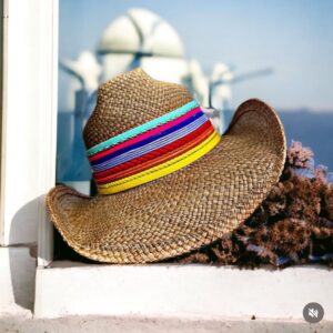 decorated hat, hats decorated in Colombia, personalized hats made from iraca palm, handmade hats with embroidery, test1234, Indiana Hat Colour Splash In Brown Color
