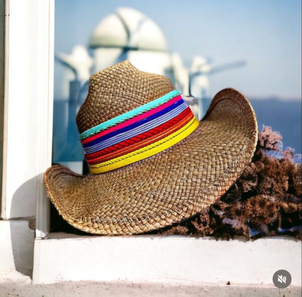 decorated hat, hats decorated in Colombia, personalized hats made from iraca palm, handmade hats with embroidery, test1234, Indiana Hat Colour Splash In Brown Color