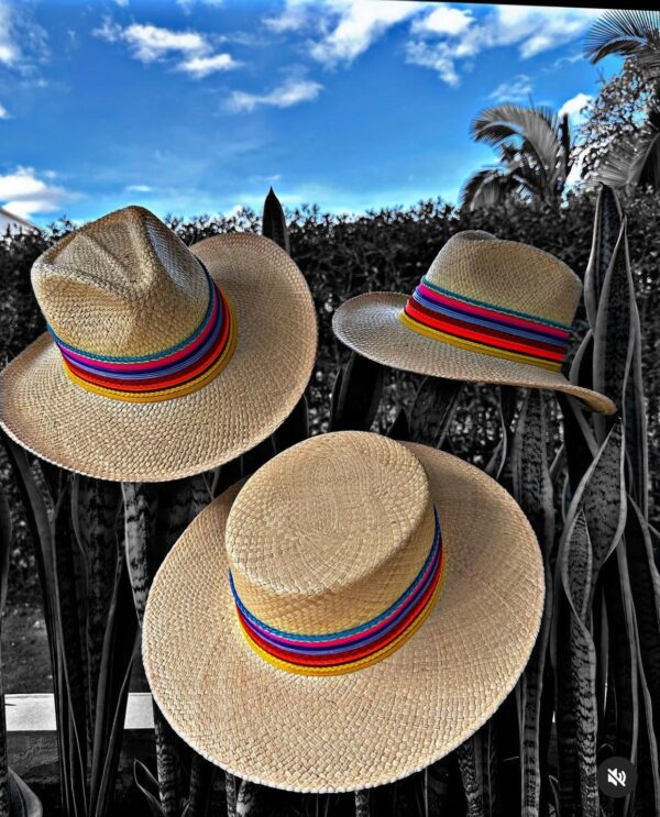 decorated hat, hats decorated in Colombia, personalized hats made from iraca palm, handmade hats with embroidery, test1234, Indiana Hat Colour Splash In Natural Color