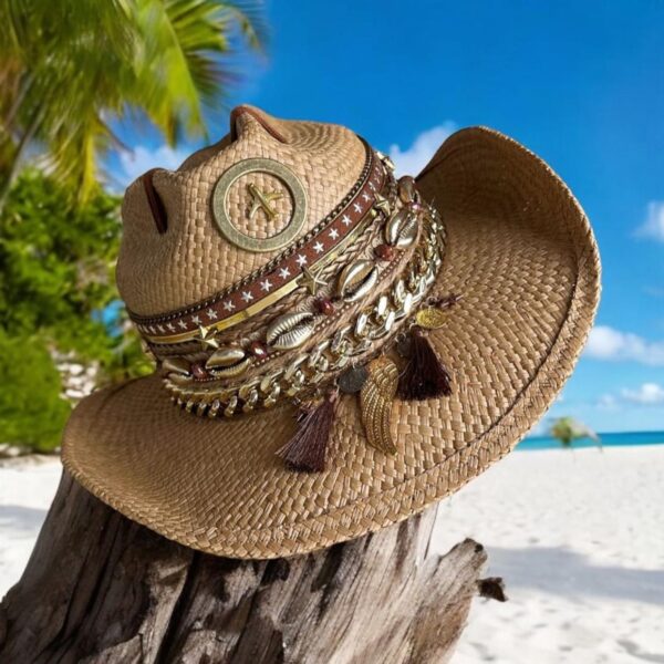 decorated hat, hats decorated in Colombia, personalized hats made from iraca palm, handmade hats with embroidery, test1234, Brown Cowboy Hat